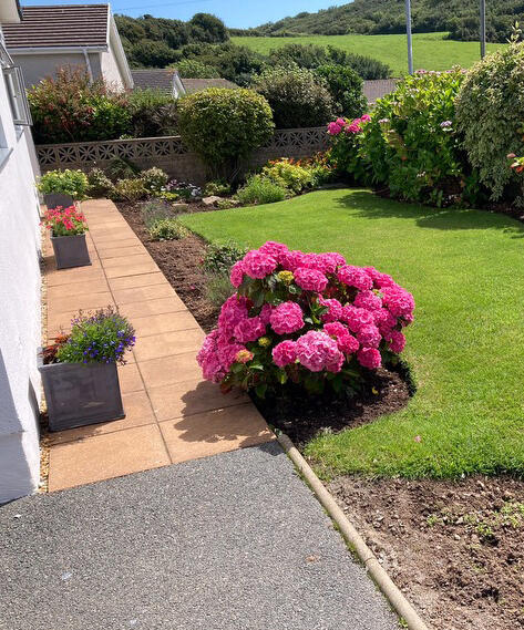 Front garden