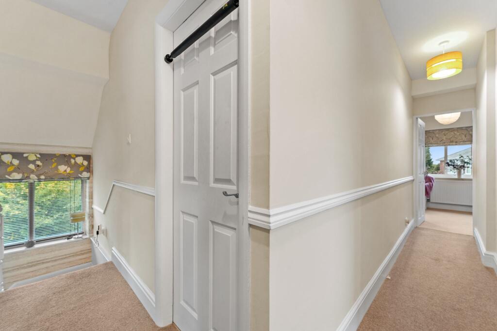 Photograph 28