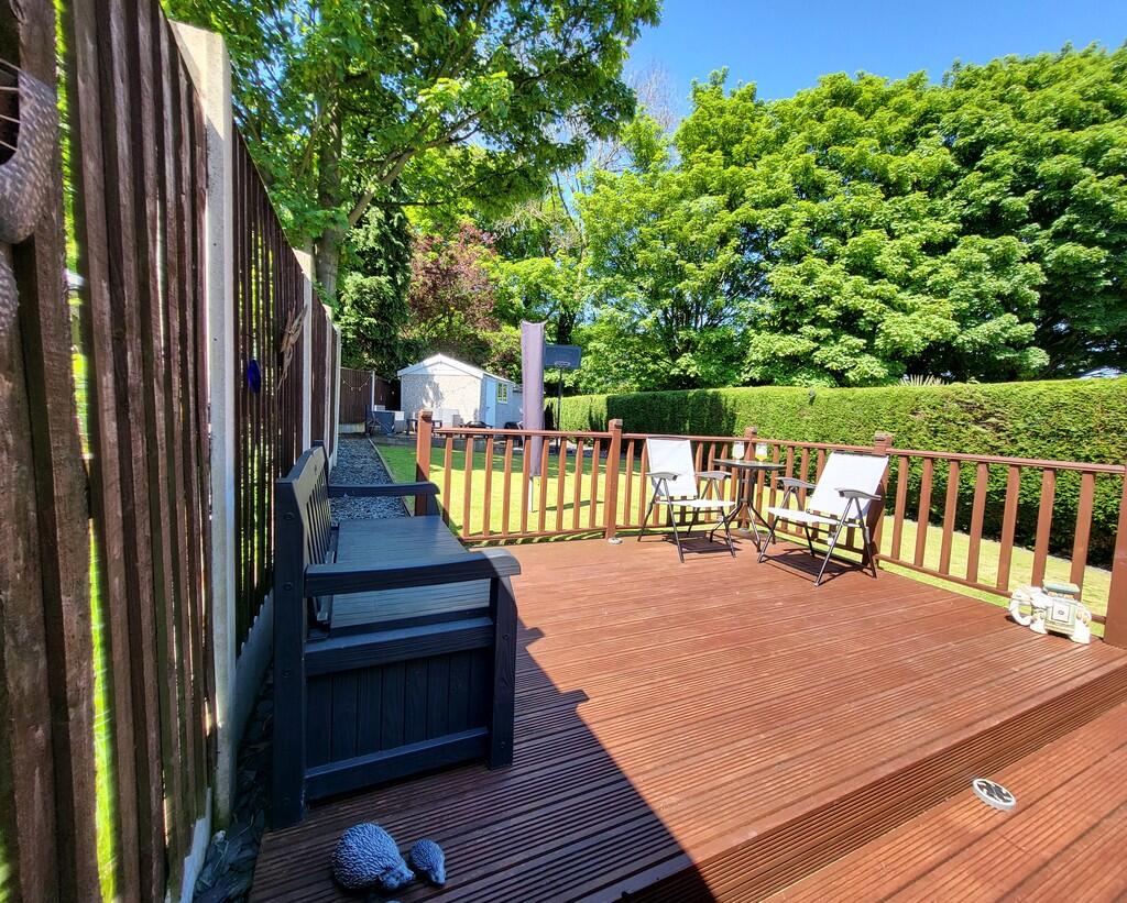 back garden 1