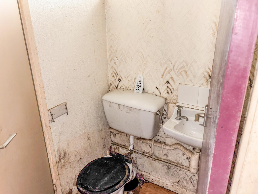 02-09-2025  15-19-52 IMG 1792.rgmez T202509031104.jpg