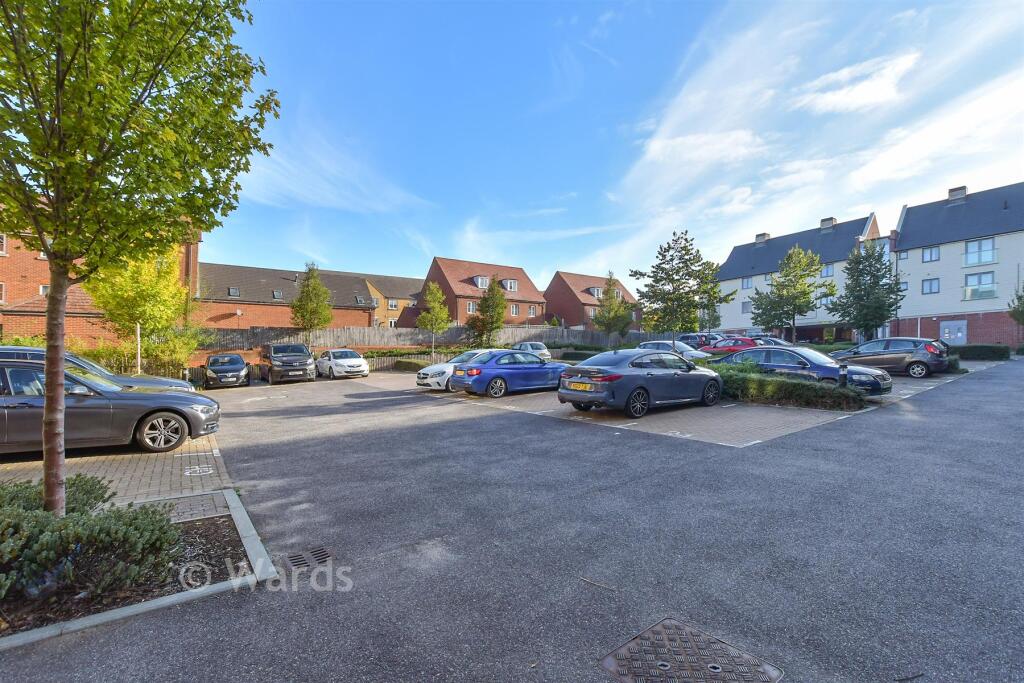 Driveway/Parking