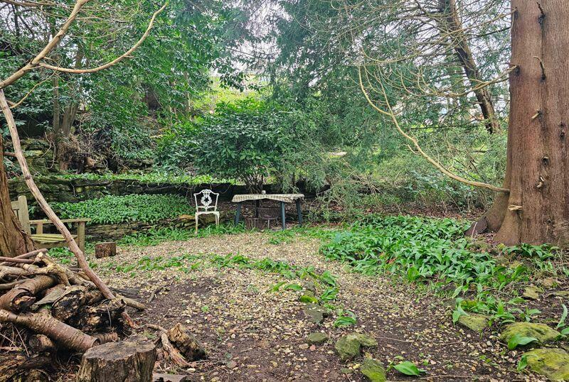 Woodland