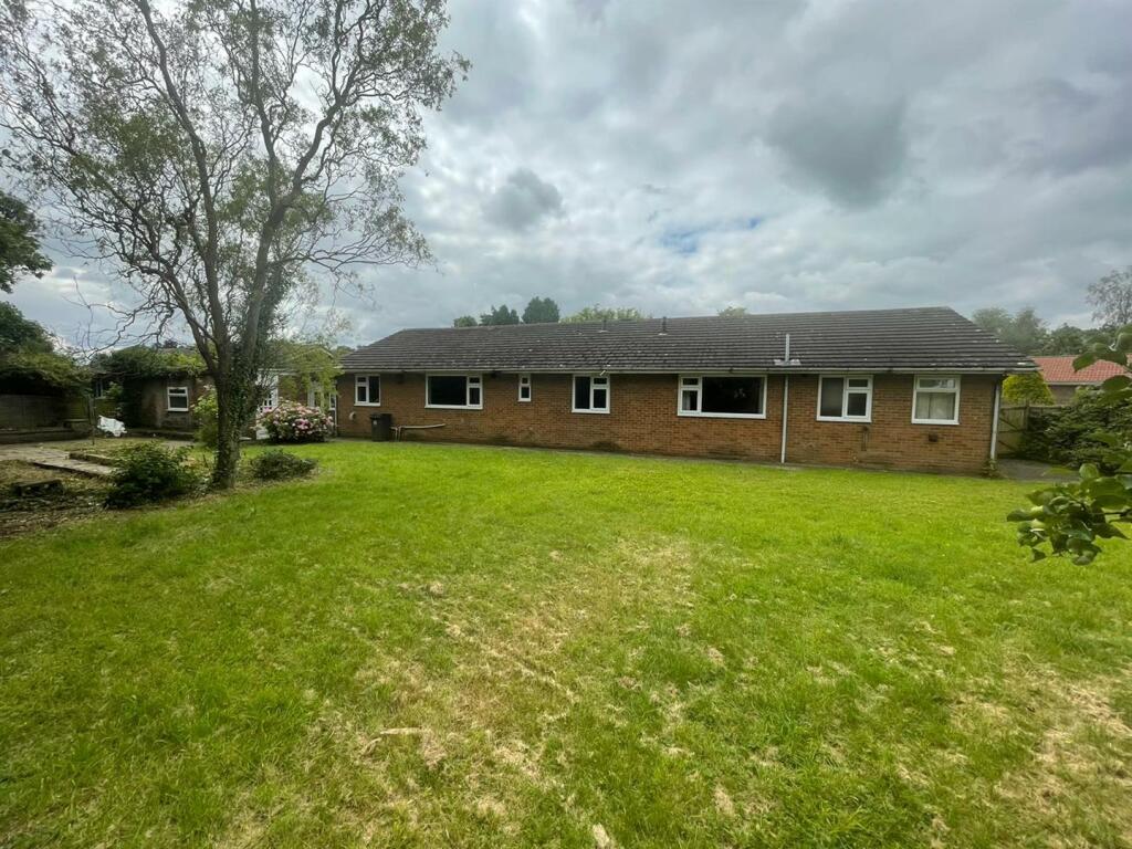 PHOTO-2024-07-23-12-33-45 (2).jpg