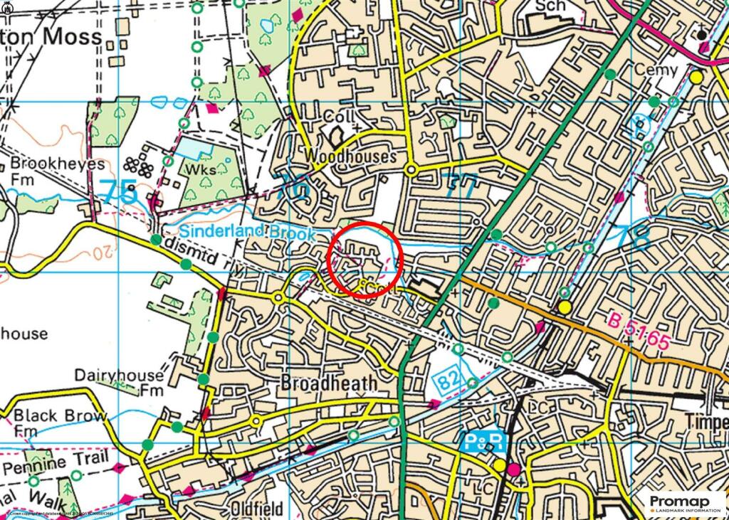 Town Plan