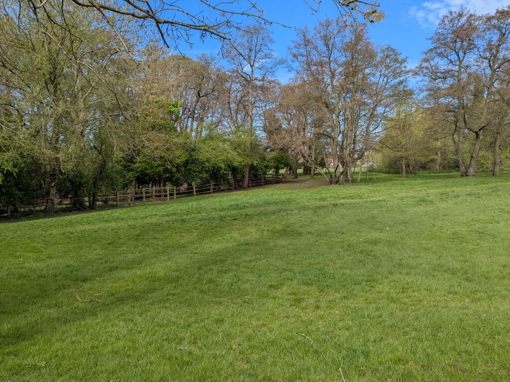 Field at rear of property