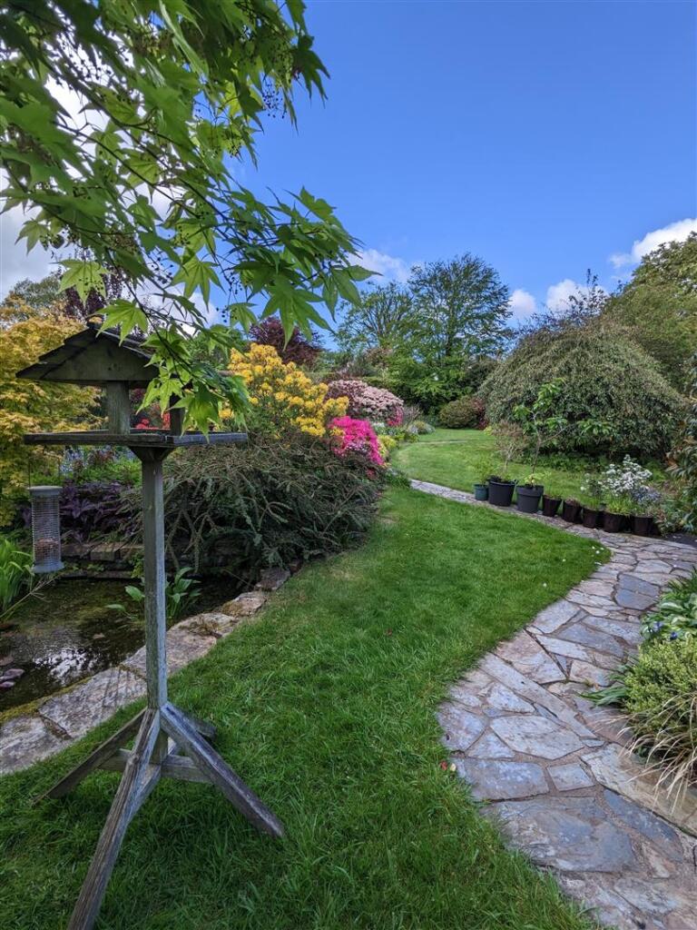 Vendor images (14).jpg