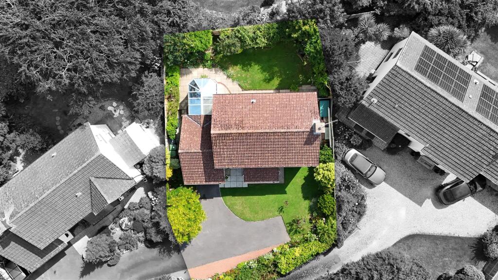 Birdseye B&amp;W.jpg