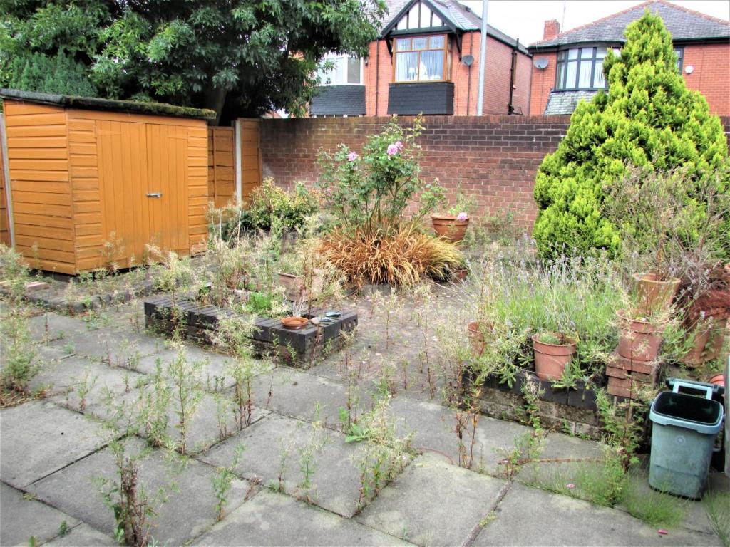SilverbirchWay10gdn1.JPG