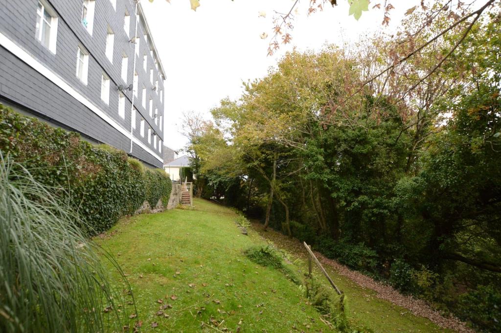 Communal Garden