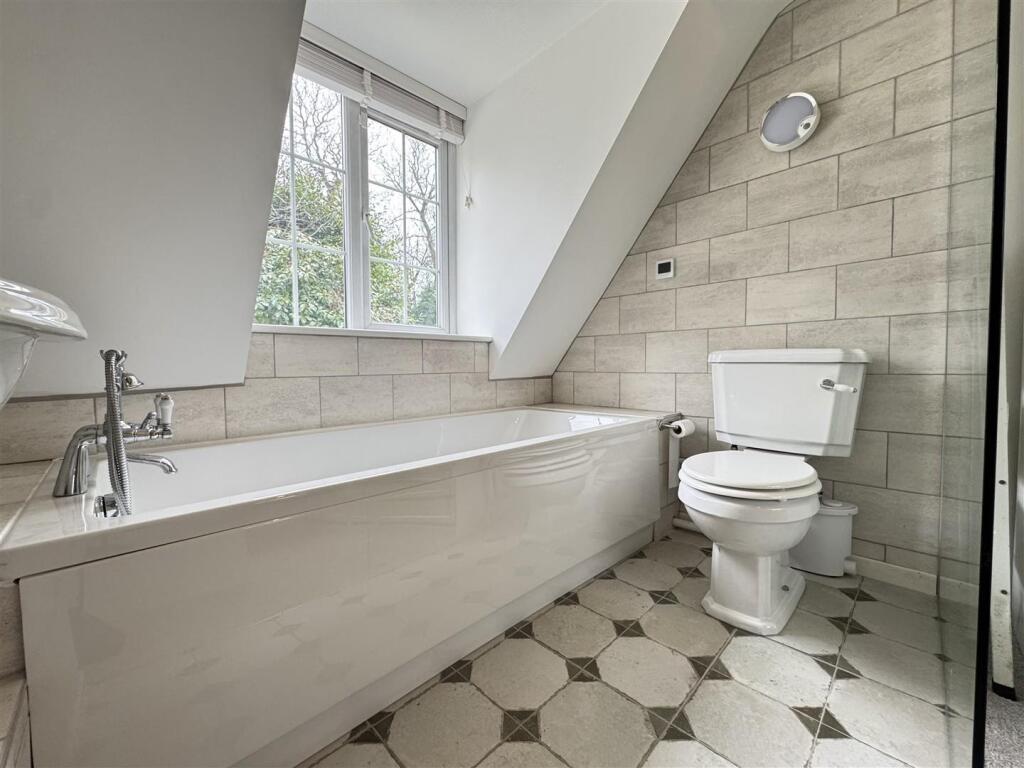 IMG_5355 (Large).JPG