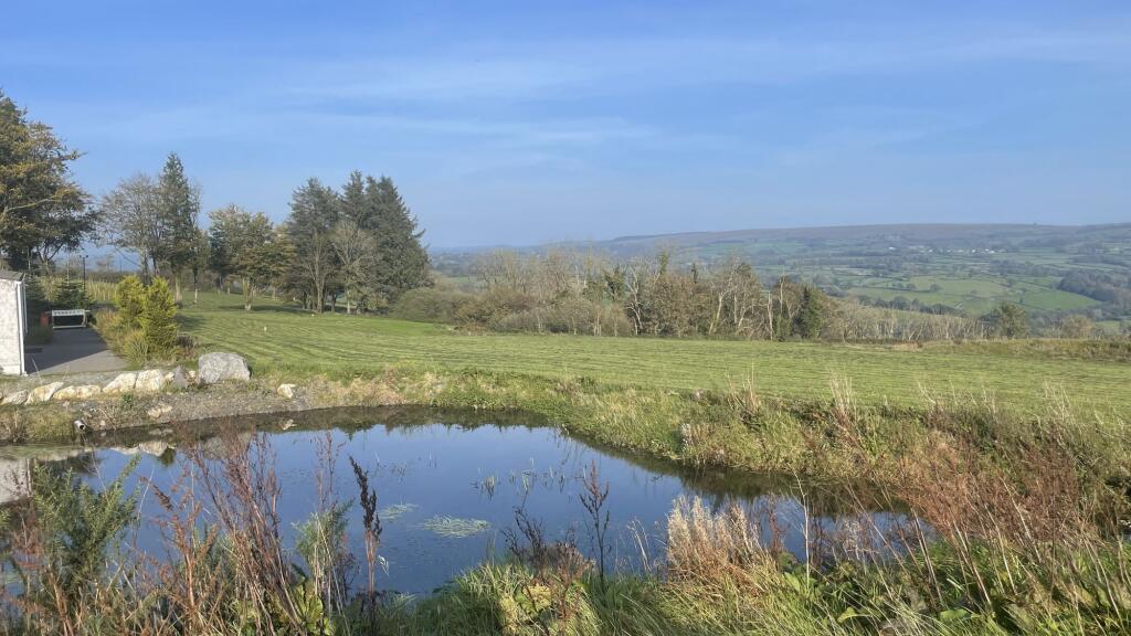 Guesthouse pond