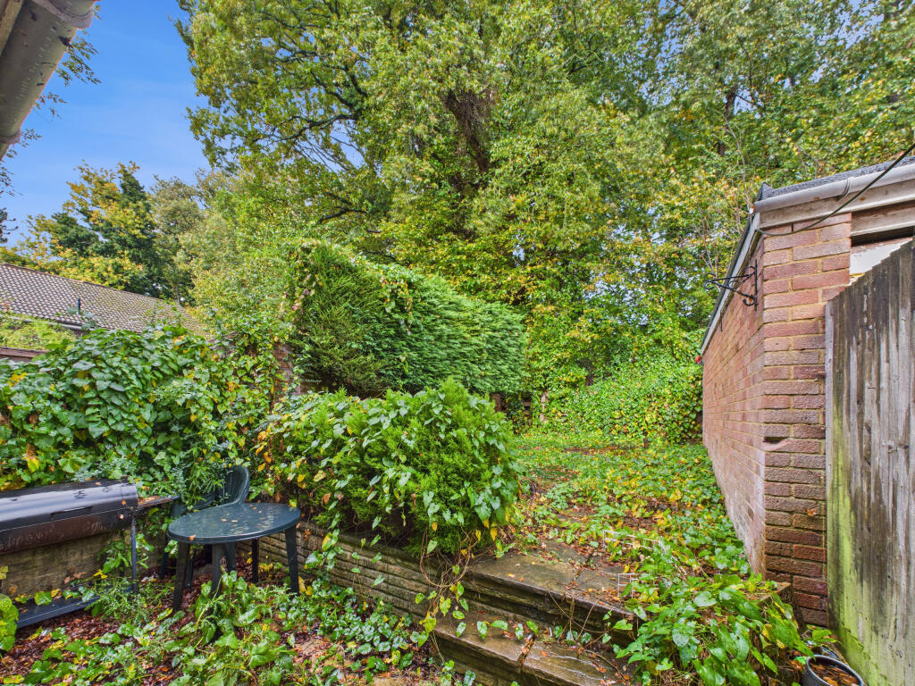 CAM02909G0-PR0505-STILL011