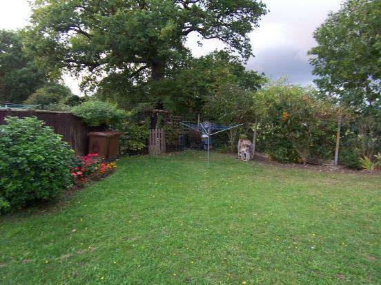 Communal Garden