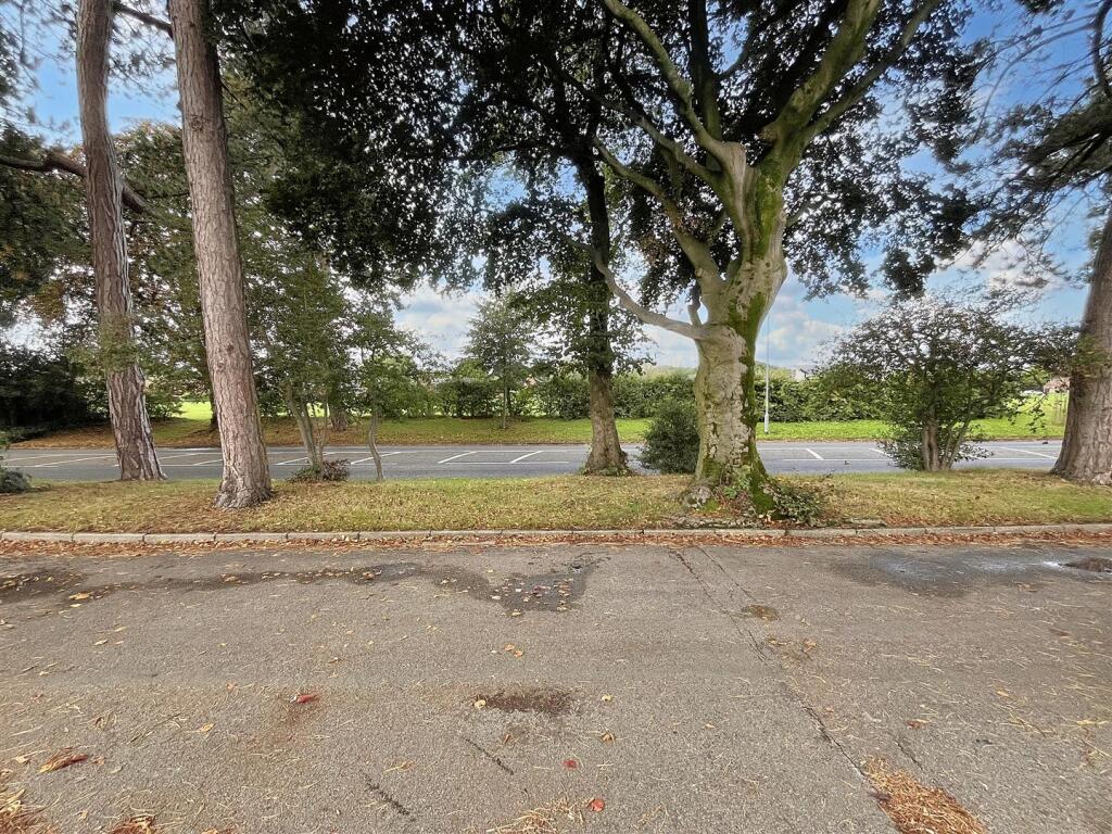 View of Park