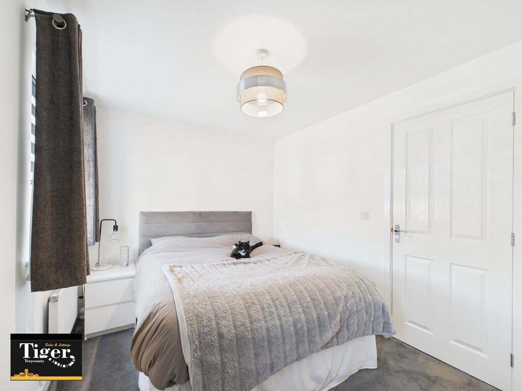 CAM02176G0-PR0519...