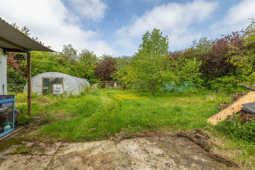Orchard &amp; polytunnels