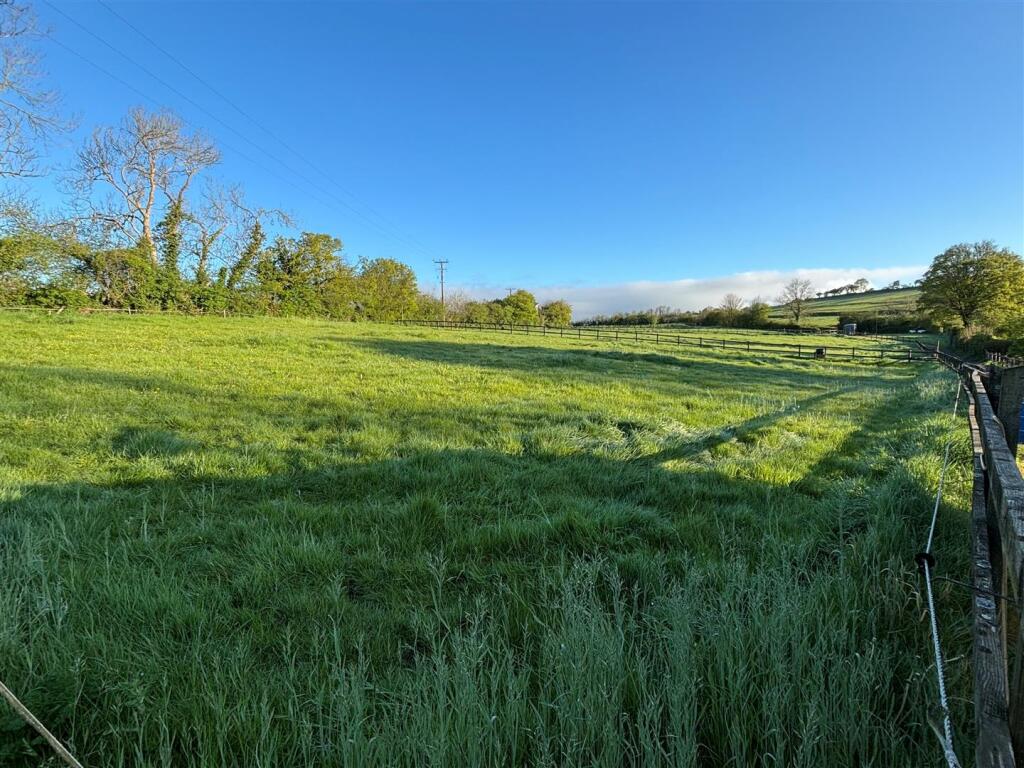 2 paddocks.jpg