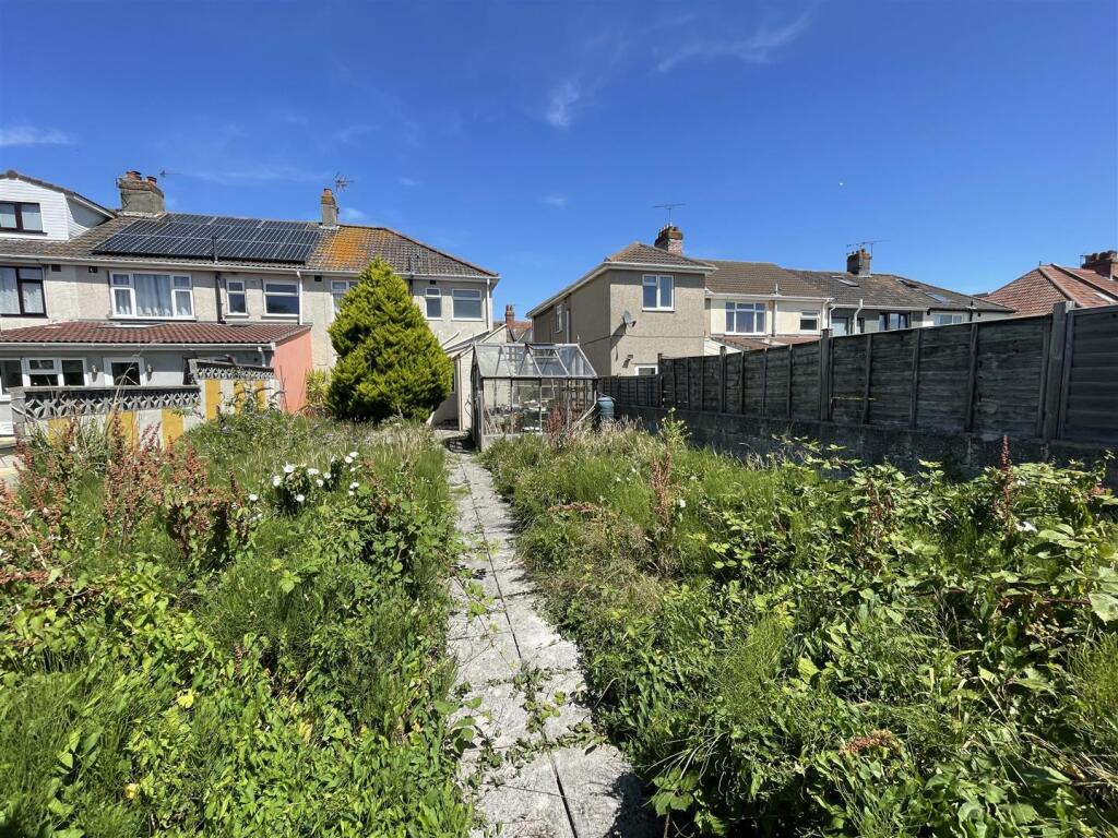 Garden 3.jpeg