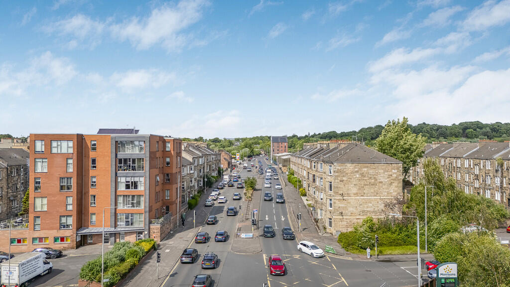 24-print-231 Bear...