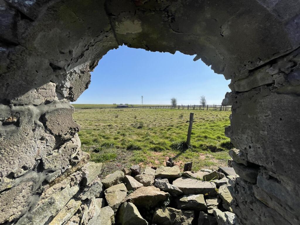 Photo 02-04-2025, 11 38 53.jpg