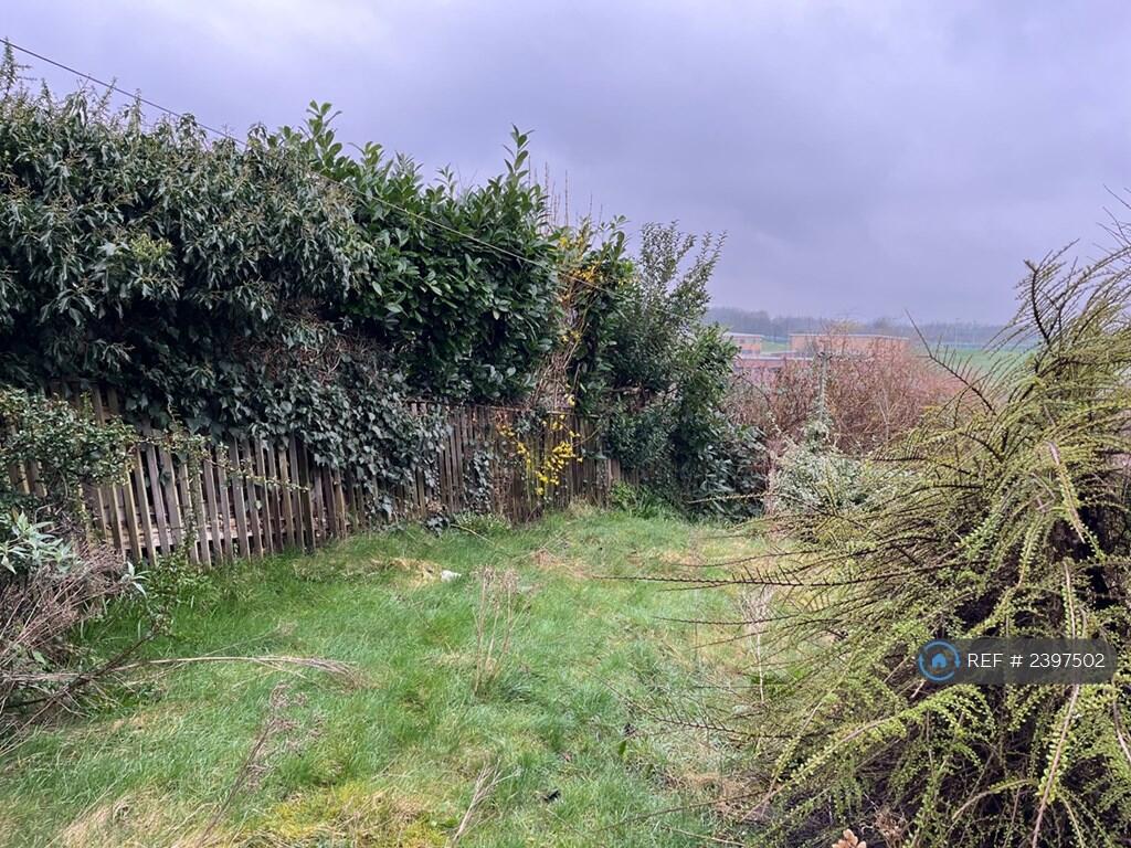 Back Garden 2