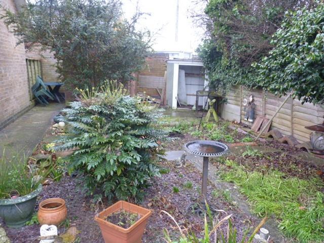REAR GARDEN.jpg