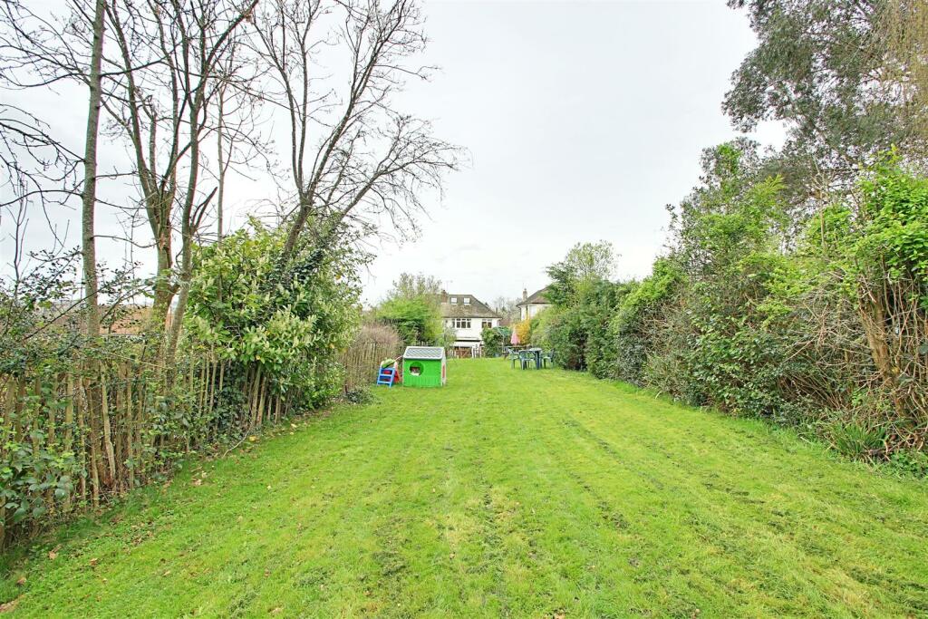Garden 3.jpg