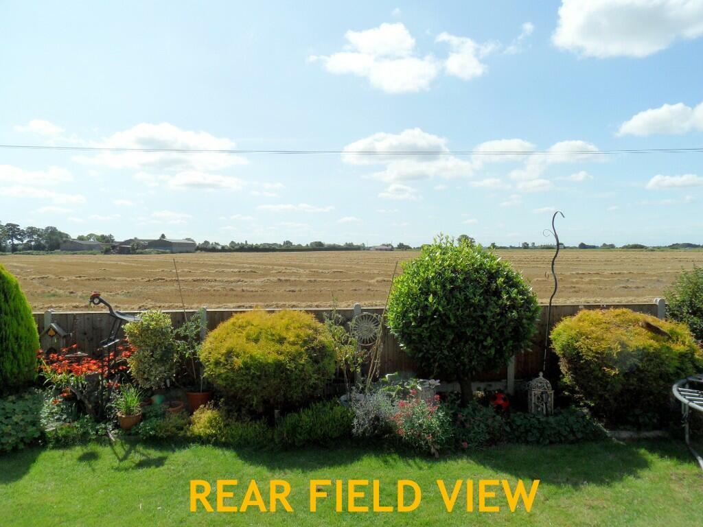 REAR FIELD VIEW