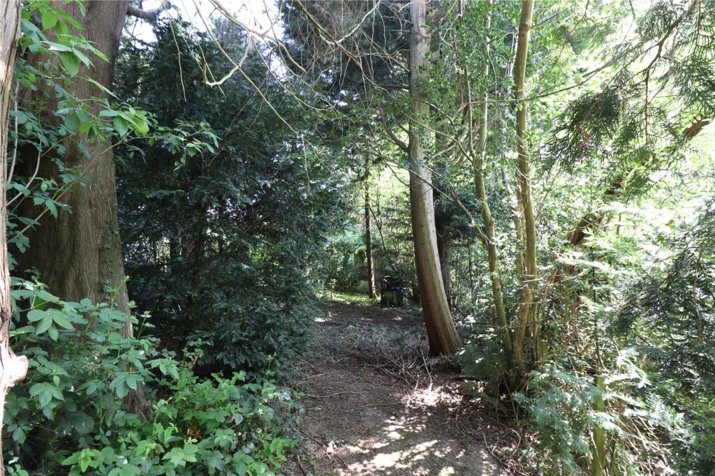 Woodland