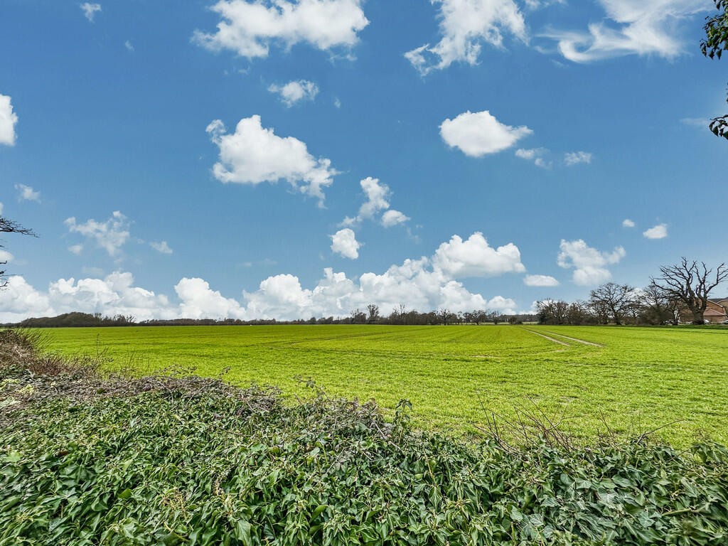 20250213_12220855...