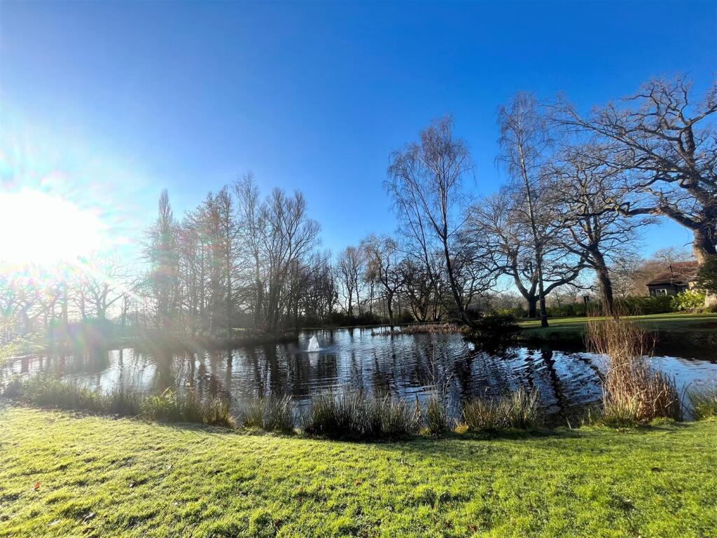 Lake 2.jpg