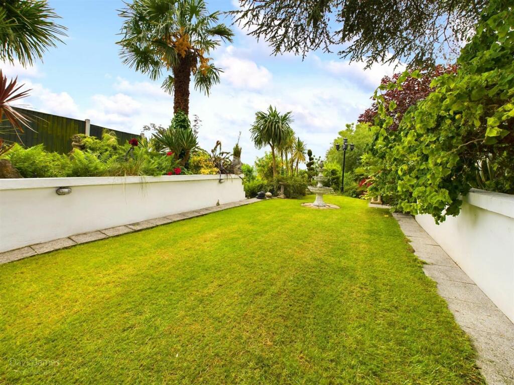 Lawn Area