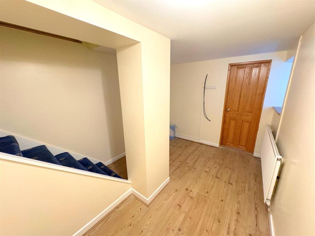 Snug c.jpg