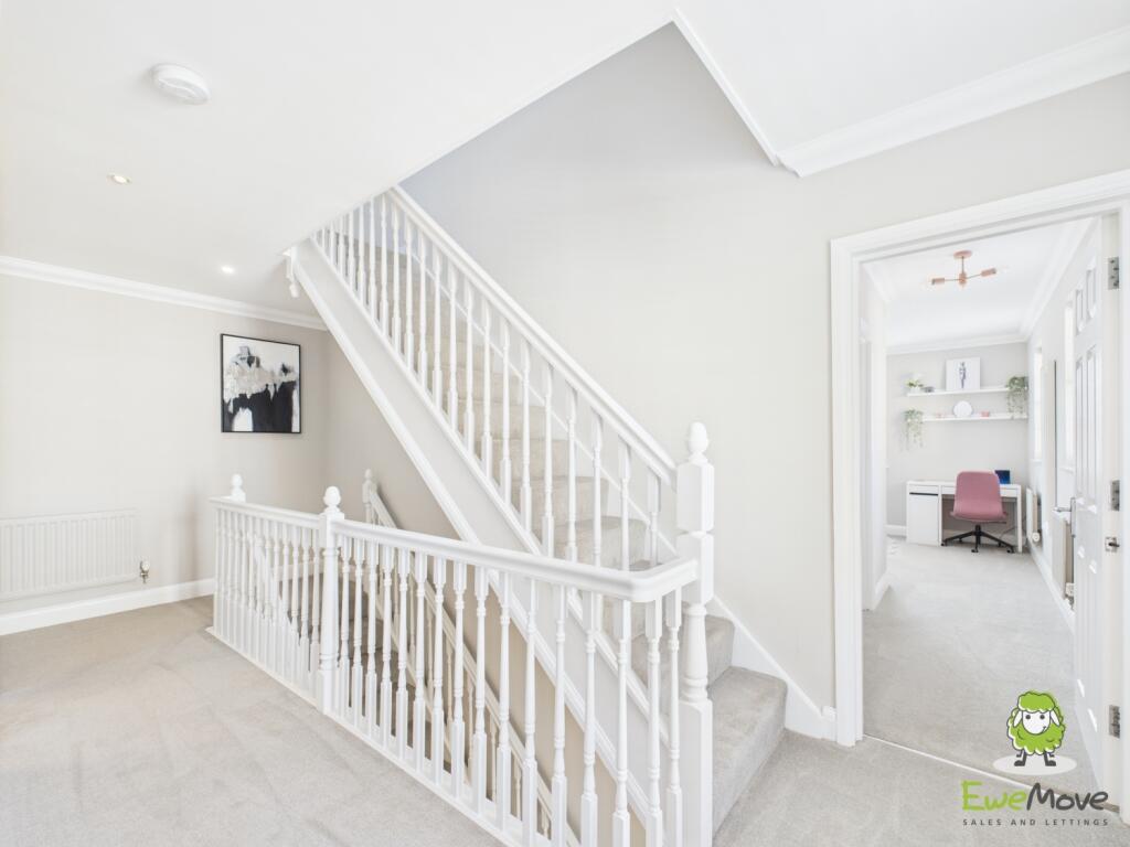 CAM03778G0-PR0247-STILL022