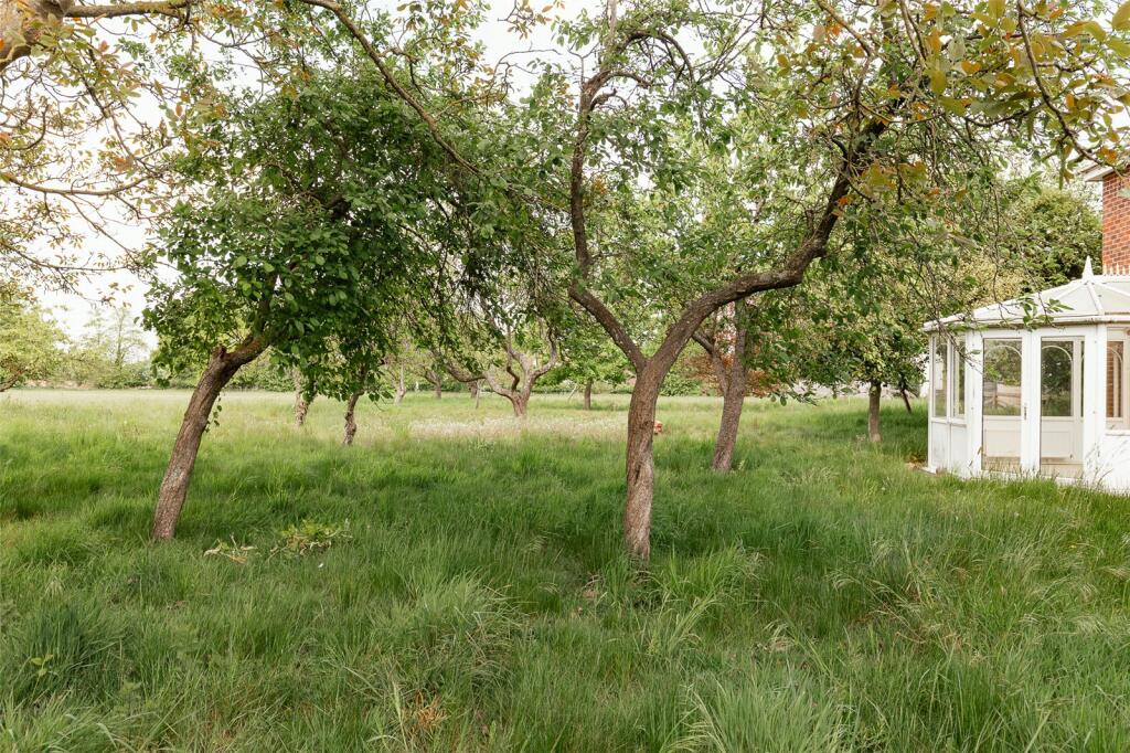 Grounds