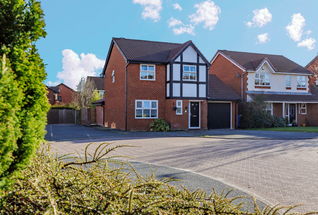 wUntitled design (12)