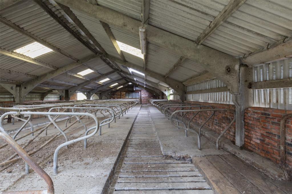 Cubicle Shed