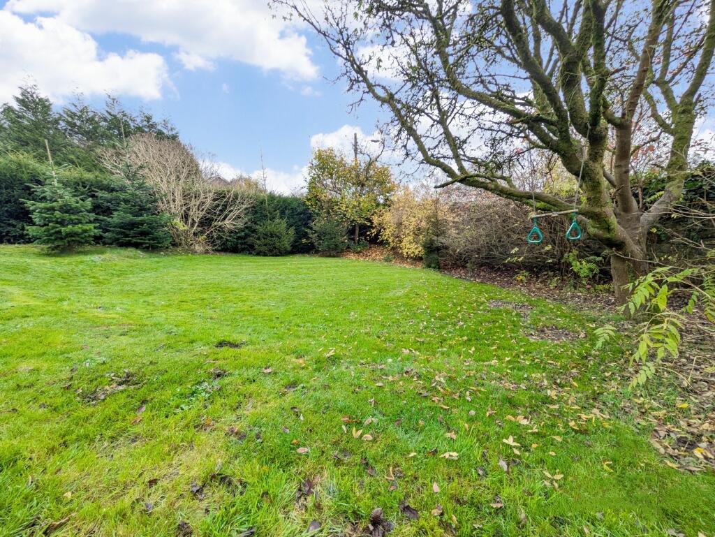 PICNIC_20241115_063317666~2