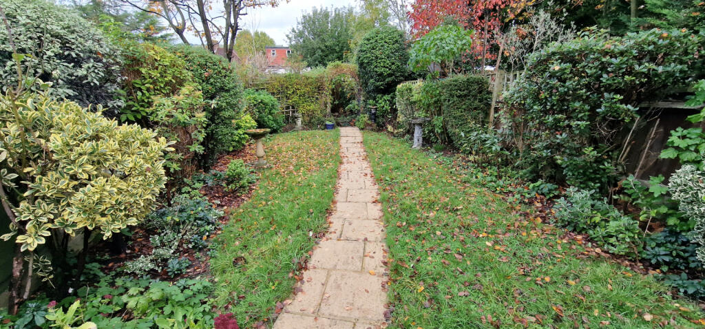 LAWN AREA