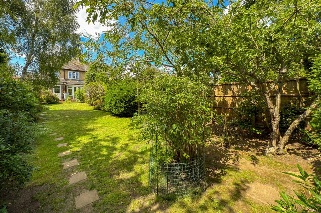 Picture No. 12