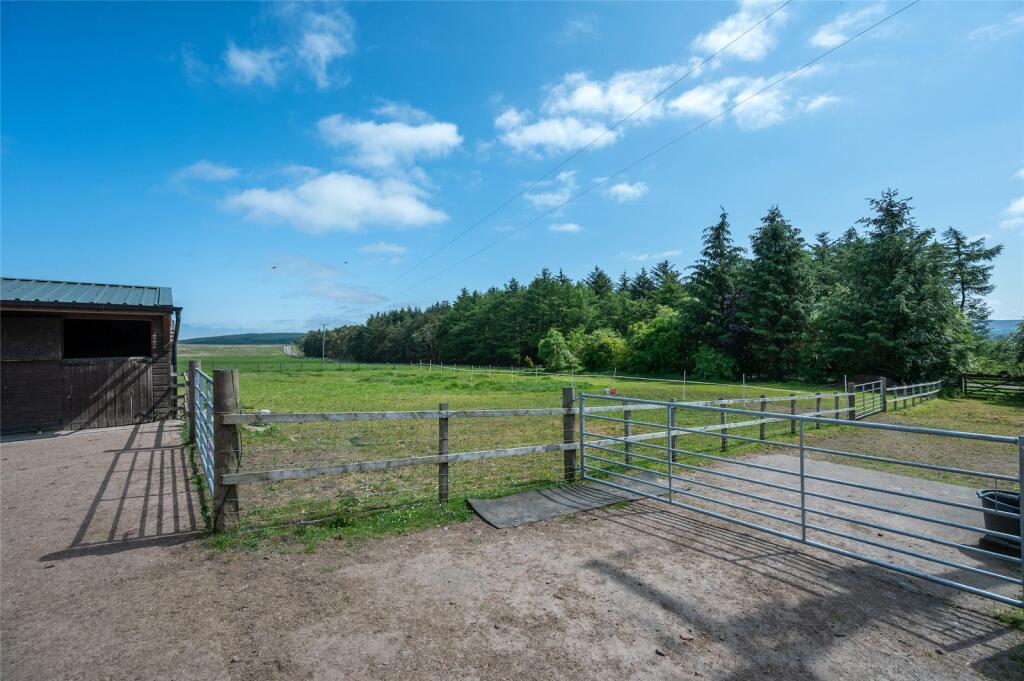 Small Paddock