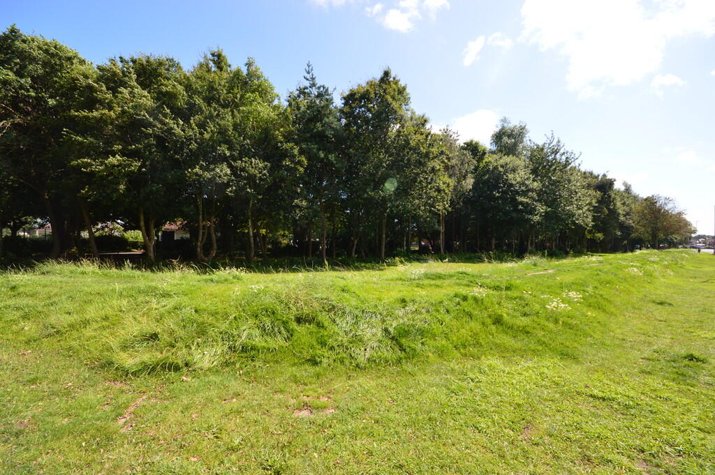Park