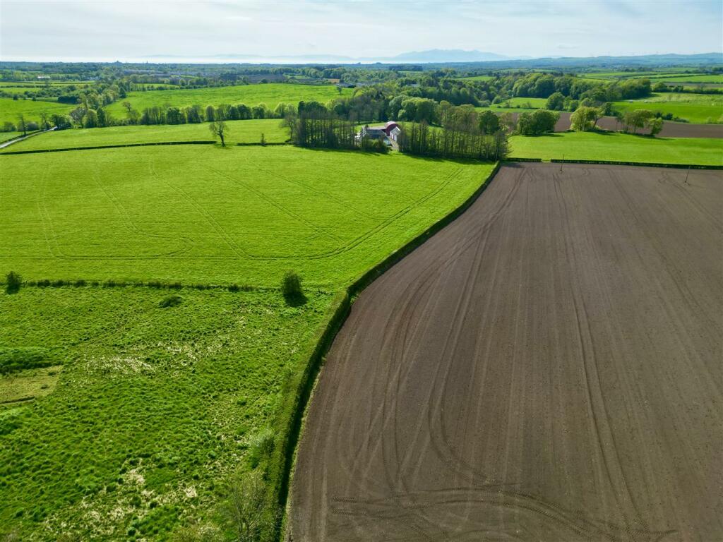 DJI_0408.jpeg