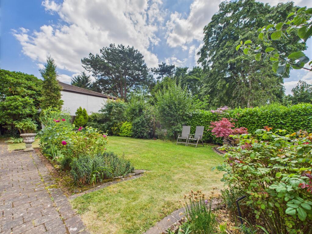 CAM03674G0-PR0565-STILL015