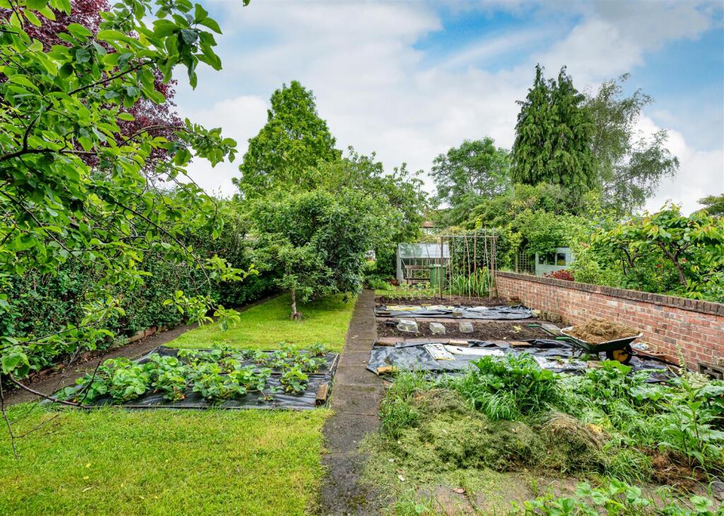 91 Common Road-garden2.jpg