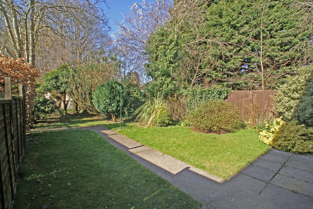 Rear 2