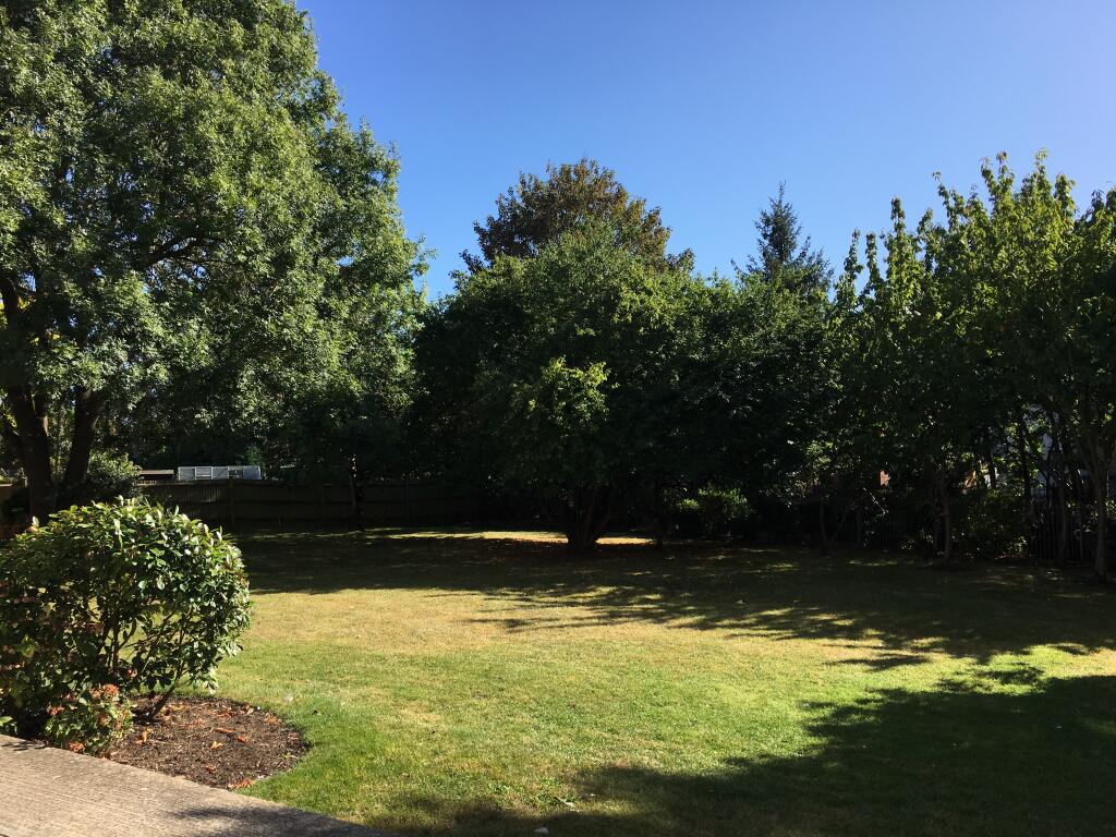 9 GARDEN.JPG
