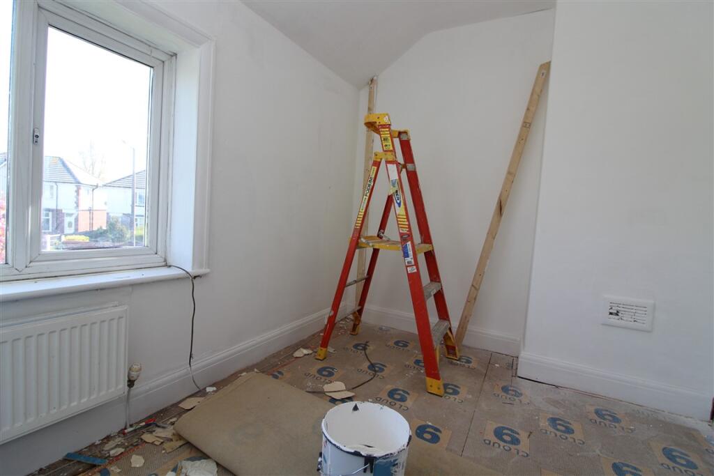 IMG 4933  Medium  T202504101031.jpg