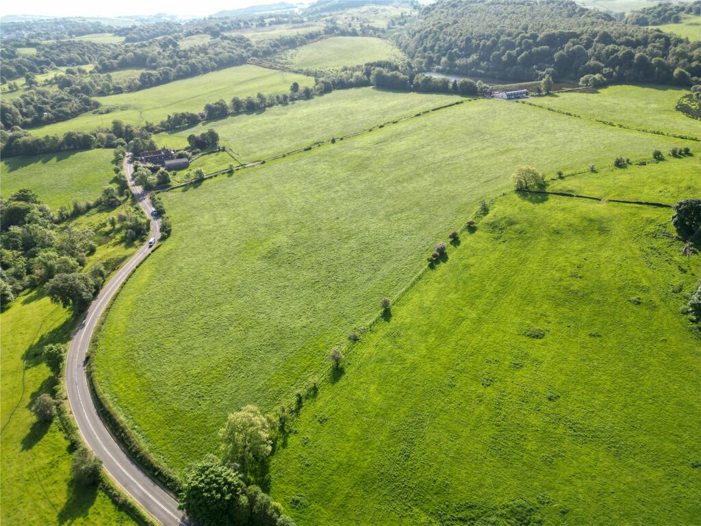 Lot 4