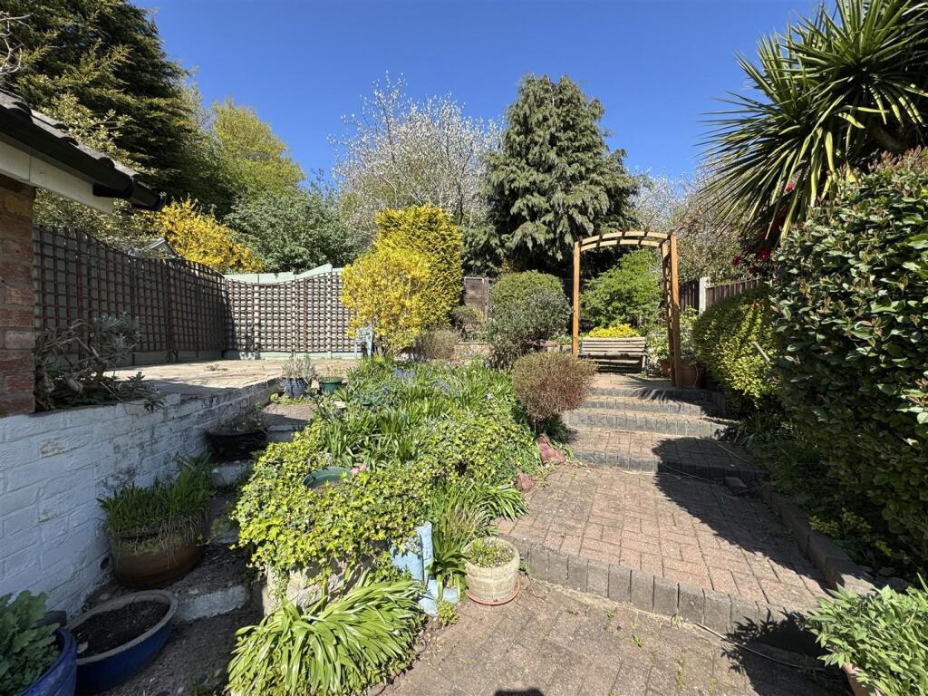 IMG_1271 (Large).JPG